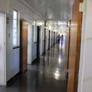 Corridor of cells